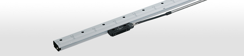 SR84/85 Magnescale