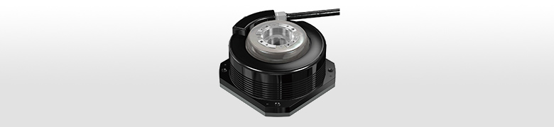 RU97 Magnescale